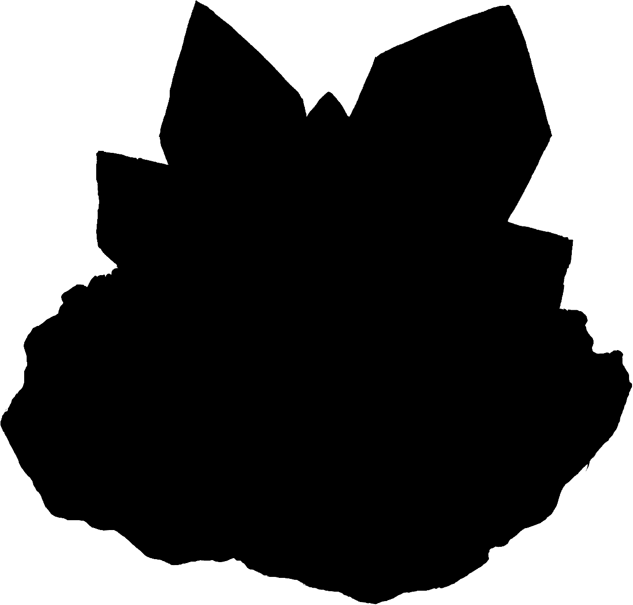 未入手のアイテム